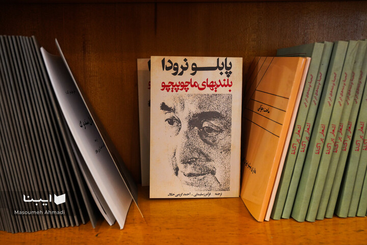 گفت‌وگو با شیرین اتحادیه